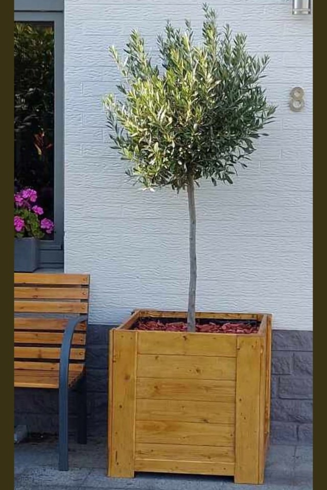 Jardiniere-bois-palette-inspiration